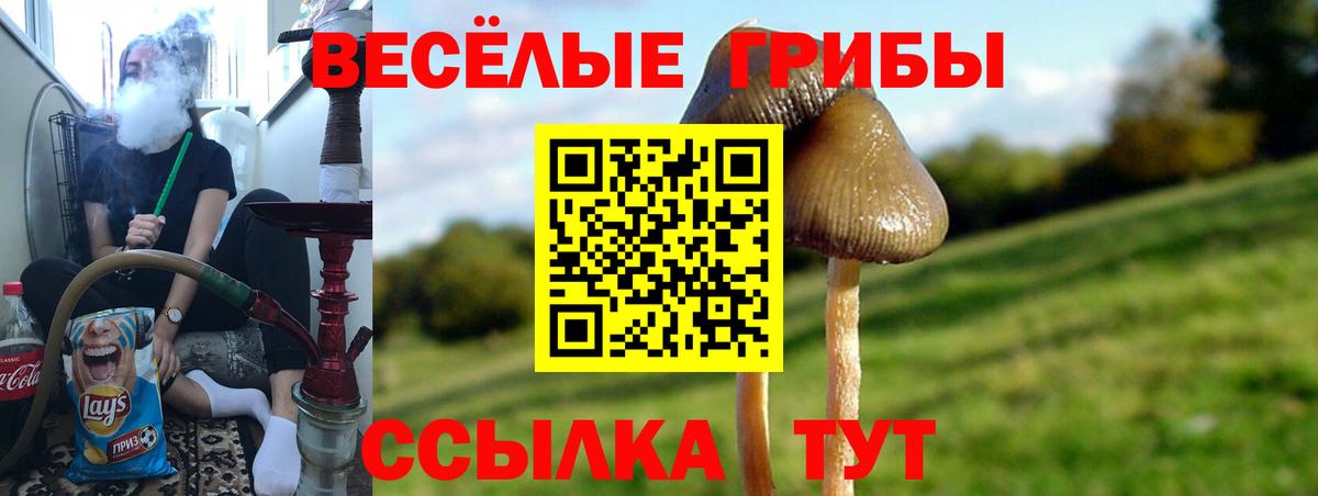Галлюциногенные грибы прущие грибы Минусинск