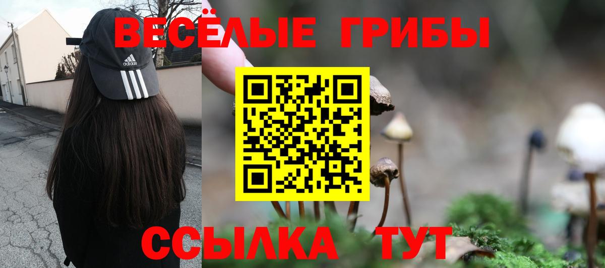 Минусинск  Псилоцибиновые грибы Psilocybine cubensis  Галлюциногенные грибы прущие грибы  Вход с VPN 